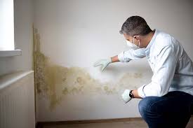 Best Airborne Mold Testing in USA